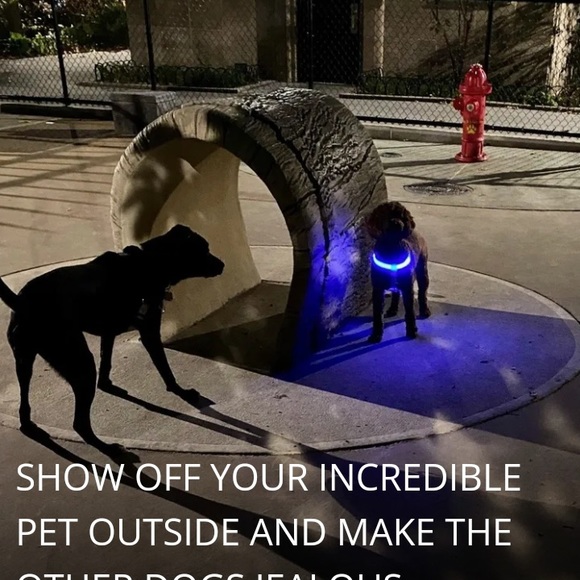 LED COLLARS - Picture 4 of 4